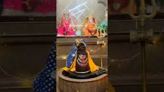 #harharmahadevॐ #love #kedarnath #shivmandirjagadhri #mahakal #mahadev #omnamahshivaya