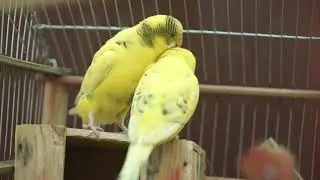 wonderful morning with cute and alluring creature of Allah