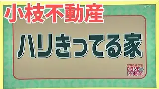 【小枝不動産】ハリきってる家　大阪府枚方市 (アークスリー不動産部　株式会社アーク・スリー・インターナショナル取材協力回)