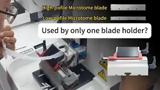 One Holder for Both High-Profile and Low-Profile Blades &ndash; Is It Possible?