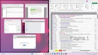 CLASE N° 9 - Fórmula Polinómica