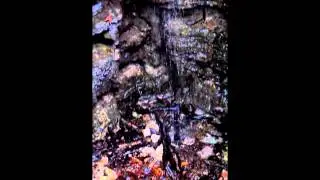 Henson's Cave Arch