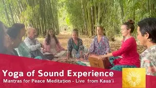 Mantras for Peace Meditation - Live in Kaua'i, Hawaii | Yoga of Sound Online Chant Experience