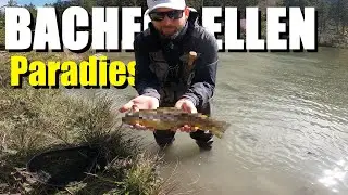 Fischen im Paradies Hintersee Ramsau - Natur pur!🎣❤️