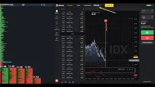Shikonemo system - торговля по объемам volumes-analysis.ru