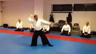 Aiki Jo - Combinaison des 