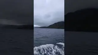 Serene Cruise #highland #scotland #nature #scenery #atlantic #ocean #youtubeshorts