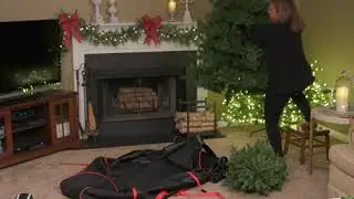 Home Reflections Tree Storage Bag with Wheels on QVC