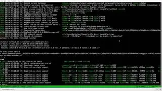 Geth PoC devnet with verkle trees