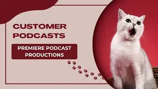 Mastering Video Production: A BVS Film Productions In-Studio Success Story - The Blood Time Podcast