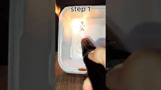 Disposable Food Container vs Extreme Fire! 🍽️🔥 Burn & Melt Test!