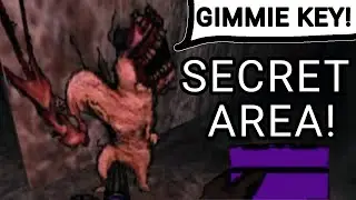The Pink Valley Blue Key secret area within FLESH CANNOT BE REPLACED! DOOM 2 MOD!