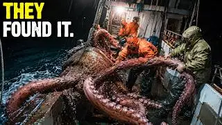 Lost at Sea: The Terrifying Legend of the Kraken | Forgotten History