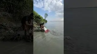 Catch a Big fish #ytshorts #fishing #fish
