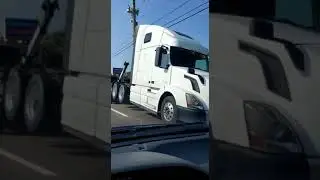 Beba&Nelson tow Life towing