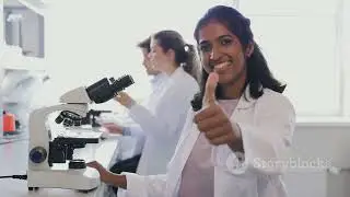 Beyond Lenses: The Incredible World of Plasmonic Metasurfaces