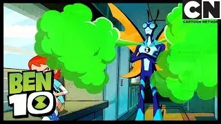 Xingo na żywo | Ben 10 Po Polsku | Cartoon Network