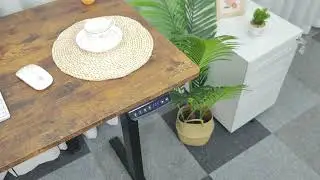 MOTIONFURNI Standing Desks: The Modern Work Essential