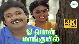ஓ.. பொன் மாங்குயில் சிங்காராமாய் | Oo&hellip;.pon maanguyil singaaramaai #prabhu #saranyaponvannan