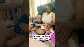 Jaha daddy or Aanya Wahi Bella ❤️#viralvideo #dog #funny #cute #beagle #bella #viralvideo #shorts