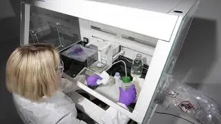 W&auml;geprozess | Weighing Process | Processus de Pes&eacute;e