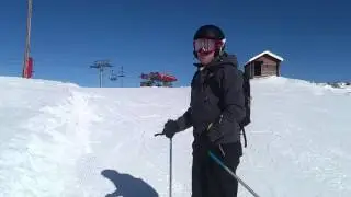 Stig Strand, vita pro