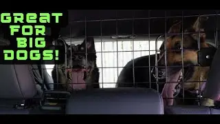 Best Budget Car Dog Barrier on Amazon?!