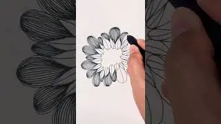 Zentangle art of sunflower seeds 🌻 #dailyart #drawing #zentanglelegend