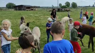 Wycieczka zerówki Katolickiej Szkoły Podstawowej w Trzciance do alpak w Byszkach - 21.05.2025