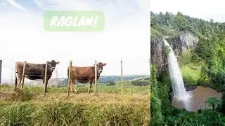 Huge Waterfall, Beaches, + Indian Food! || NEW ZEALAND  VLOG