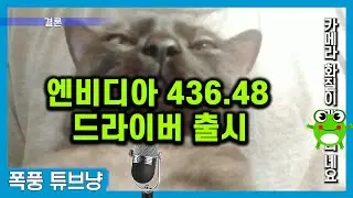 Nvidia 436.48 vs 436.30 vs 436.15