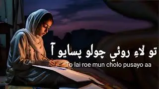 Sindhi New Reverb Slowed Song | Fozia Soomro | To Lai Roi Mu Cholo Pusayo Aa