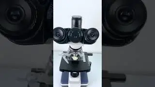 Milk powder magnified 400X is seriously awesome!#underthemicroscope #science #microscope