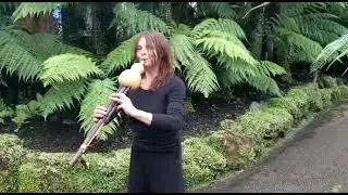 Katu&scaron; plays Hulusi in Kibble Palace , The Botanic Gardens , Glasgow