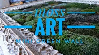 Green wall moss art!