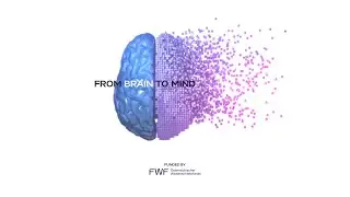 B2M #09 Brain Rhythms and the Science of Decision-Making With Dr. Elie El Rassi