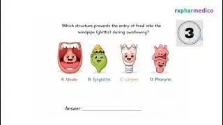 Important MCQs on Absorption and Digestion of Human Body | rxpharmedico 