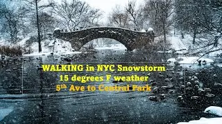 Walking in SNOWSTORM in New York City - 15 degrees COLD #nyc #newyorkcity #newyork #newyorkforever