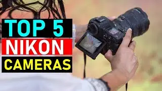 Top 5 Best Nikon Cameras for 2026