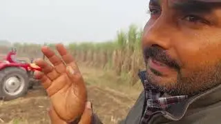 जिस किसान भाई की पैदावार घट गयी है वो भाई ये काम जरूर करें।