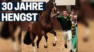 WOW! 30 Jahre alter Hengst - Heartbreaker - SUPER FIT! | Team Nijhof