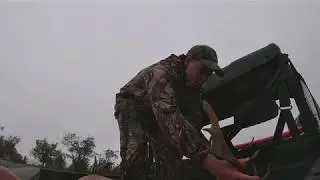 Bag a stag (deer hunting tassie)