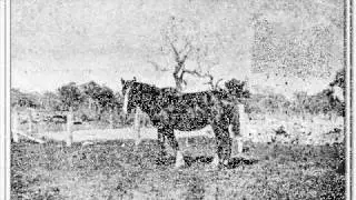 Picture Joondalup - Interview with Hugh Hastings