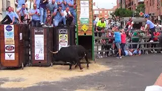 Medina del campo 2022 Toro de la feria, Capea