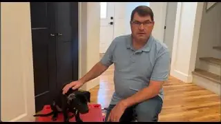 Ogden Utah Dog Training | Salt Lake City Dog Training | &ldquo;They've Done A Great Job
