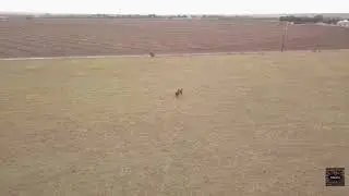DJI Go4 auto-edit 11/14/17