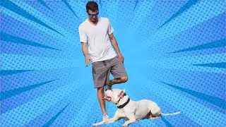 Dogs Use Emotion (it's how they talk)