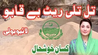 Good Rate sesame seeds today | Sesame crop rate 2026 | Till tilli rate today galla mandi