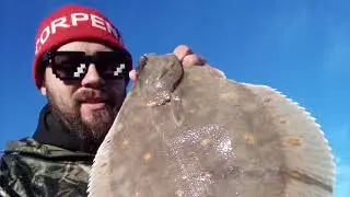 Spearfishing Huge Plaice - Flatfish - Flounder in Norway.