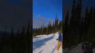 Skiing with family on sunny day, the ultimate great time.
